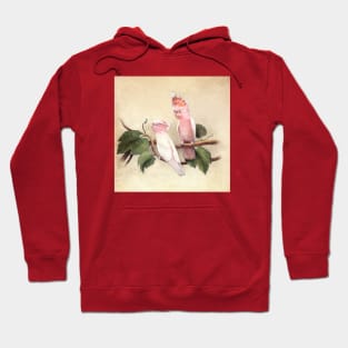 Pink Cockatoos Hoodie